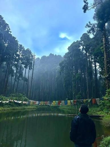 A Quiet Eco-Haven Where Pines Whisper and Clouds Rest